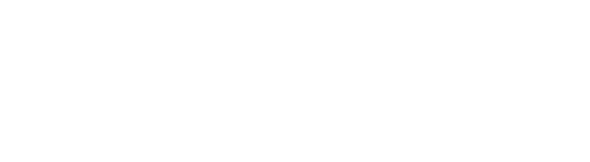 Museu dos Biscainhos Logo